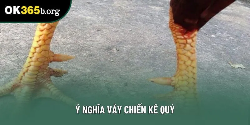 Ý nghĩa vảy chiến kê quý Ý nghĩa vảy chiến kê quý